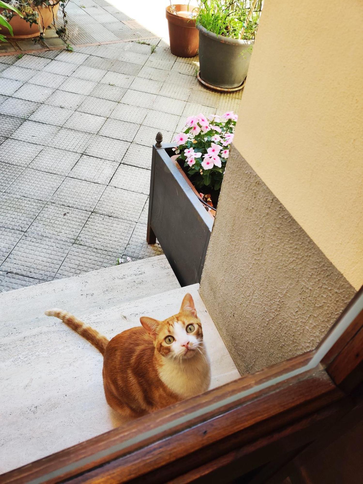 B&B Gattacicova Cava deʼ Tirreni Rum bild